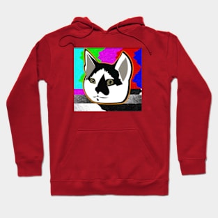 Magic Mavis Hoodie